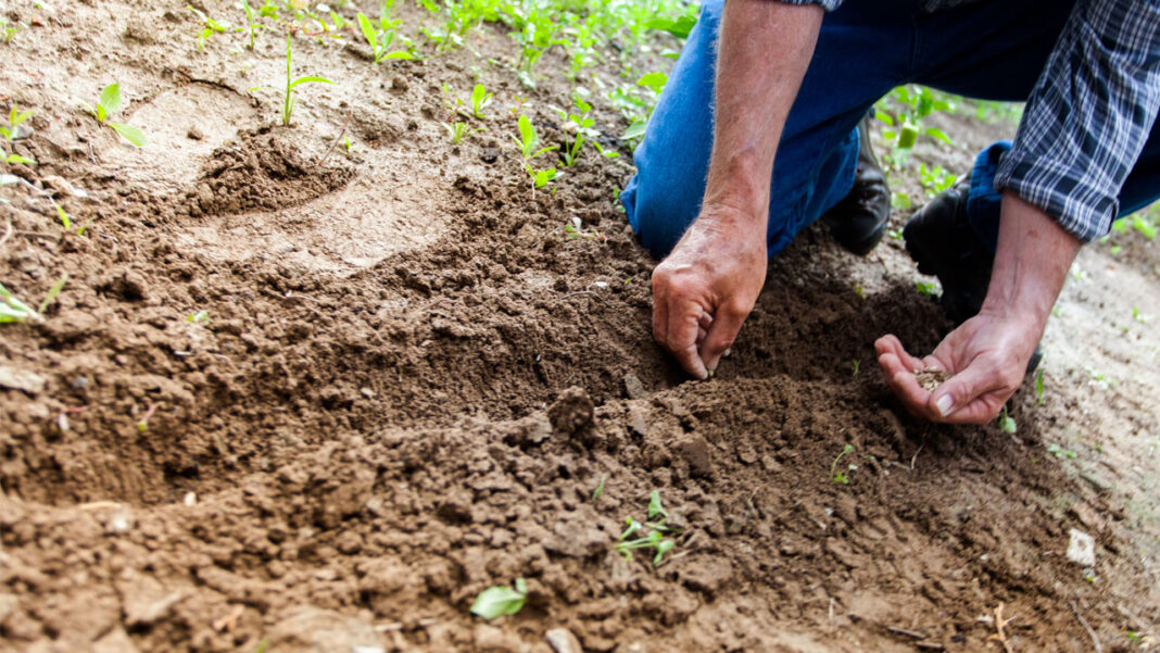 Dia do Colono/Agricultor - Instituto de Teologia e ...